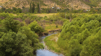 Laçından yeni - FOTOLAR 