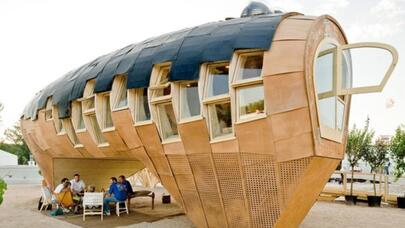 15 günə yığılan orijinal ev heyrətləndirdi