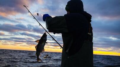 Xəzərdə balıq ovu tam dayandırılır - Tarix