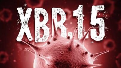 Dünyanı cənginə alacaq yeni virus gəlir