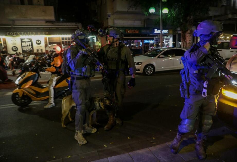 Trrorçu təkbaşına hərəkət edib - İsrail POLİSİ