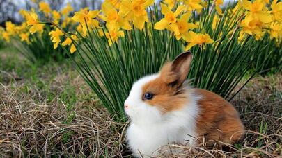 Sabah 24 dərəcə isti olacaq