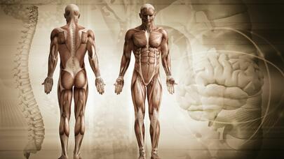 Bədənimiz barədə 20 şok fakt - Beyinin tutumu nə qədərdir?