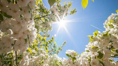 Sabaha olan hava PROQNOZU