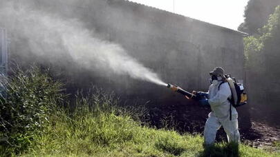 Bu ölkədə 70 mindən çox yoluxma