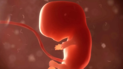 Bioloqlardan YENİ UĞUR: süni insan embrionları yaradıldı