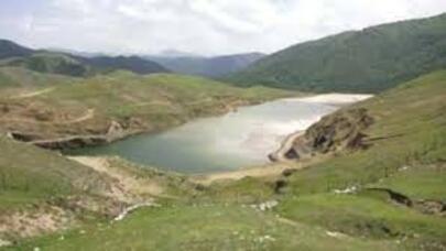 Ekoloji hərəkat siyasiləşə bilərmi? - Kimsənin ağlına gəlməyib ki...