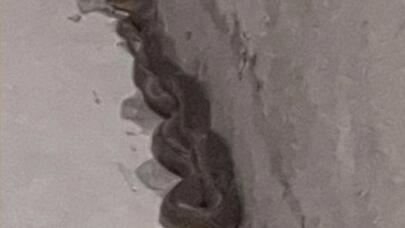 Mənzilin 1 metrlik anbarından 3 metrlik ilan çıxdı - FOTO