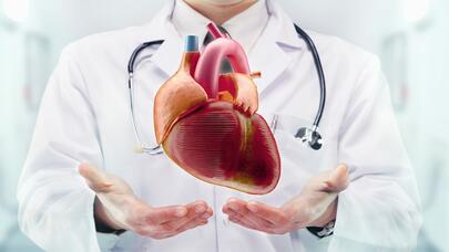 Ölülərə "eyni gözlə baxan" həkimlər: Azərbaycanla bağlı  bu dəhşətli statistikanın sirri açıldı