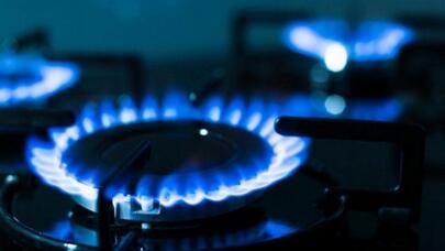 Qazın qiyməti minimuma endi