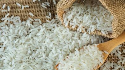 Qazaxıstanda unikal düyü sortu yaradıldı - FOTO