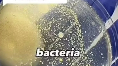 Makiyaj vasitələrində gizlənən infeksiya - Tualet oturacaqlarından belə...