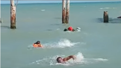 Bakı çimərliyində suiti insanlara belə hücum etdi -  ŞOK VİDEO