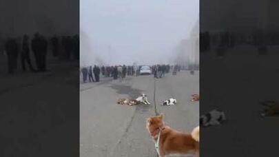 Yeni "baş separatçı" bəlli oldu, Xankəndidə qarşıdurma başladı: Babayanın adamları küçələrə axışdı