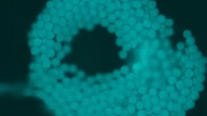 Hüceyrələri idarə edən mikrorobotlar yaradıldı