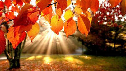 Sentyabrda hava necə olacaq? - PROQNOZ