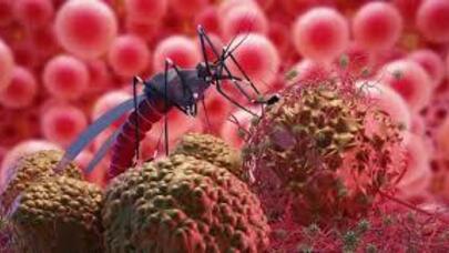 Bu qorxulu xəstəlik ABŞ-da da aşkarlandı