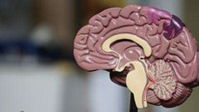 Bununla piylənmənin qarşısını almaq olar