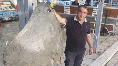 Balıqçının toruna düşən canlı görənləri heyrətləndirdi: 10 minə satıldı - FOTO