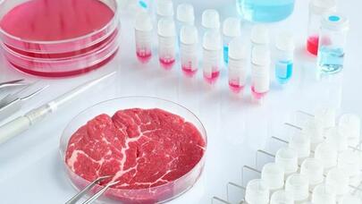 Yaxın gələcəkdə süfrəmizdə bu qidalar olacaq: süni ət, həşərat, yosun və...