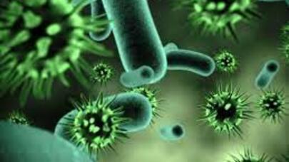 İlk "vampir virus" kəşf edildi:  Alimlərdən şok açıqlama