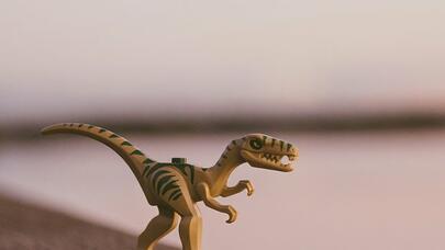 Yeni dinozavr növləri kəşf edildi
