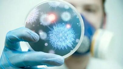 Həkim disbioz haqqında mifi dağıtdı