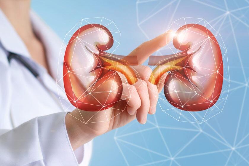 Sosial şəbəkələr bundan danışır: Böyrəklərindən 300 daş çıxarıldı - FOTO