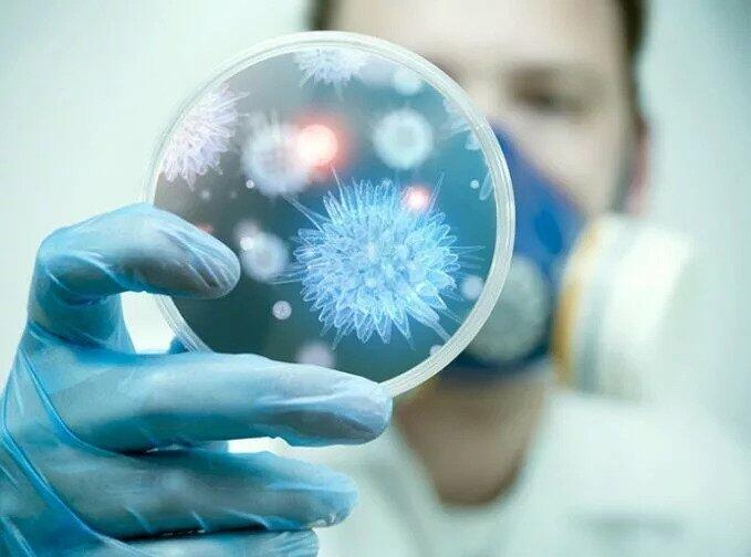 Həkim disbioz haqqında mifi dağıtdı