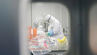 SOS: 2024-cü ildə 3 epidemiya təhlükəsi var