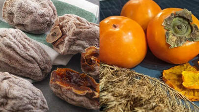 Xırnik qurusunun faydaları: Hansı xəstəliklərin dərmanıdır? - FOTO