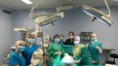 Azərbaycanda 2024-cü ilin ilk körpəsi dünyaya gəldi - FOTO