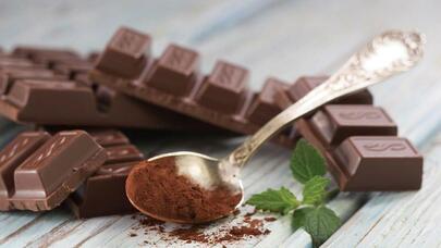 Bütün şokoladların tərkibində tarakan var - Həkim
