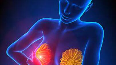 Süd vəzi xərçəngindən qoruyan meyvə...