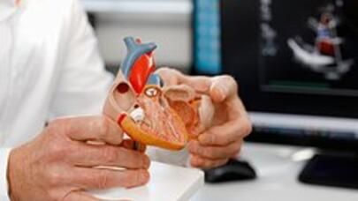 Həkim ürəklə bağlı məşhur mifi təkzib etdi