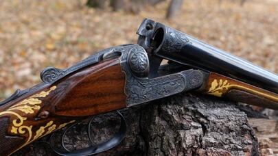 Qəbələdə sakinlərdən 12 tüfəng götürüldü