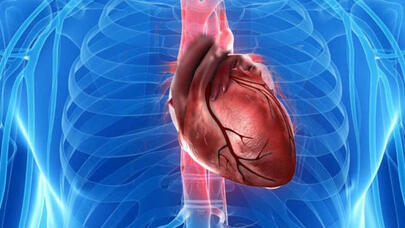 Onkoloq ürək xərçənginin əlamətlərindən danışdı