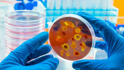 Laboratoriyaların viruslar üzərində apardığı “oyunlar” nə ilə başa çatacaq? - Bəşəriyyət təhlükə altında