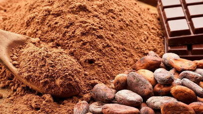 Kakaonun qan təzyiqinə möcüzəvi təsiri AÇIQLANDI