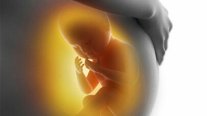 Süni mayalanma ilə doğulan uşaqlar daha zəif olur?