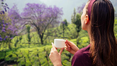 Ayurveda qidalanma fəlsəfəsində 7 əsas prinsip