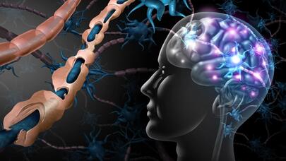 Ukraynadan Rusiyaya, oradan Avropaya: Yamnaya xalqının ölüm saçan izləri