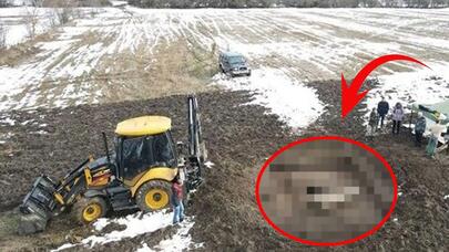 Tarlasını şumlayan fermer elə bir tarixi əşya tapdı ki... - FOTO