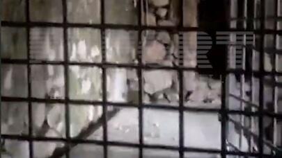 Ermənilərin azərbaycanlı əsirləri saxladığı yer aşkarlandı