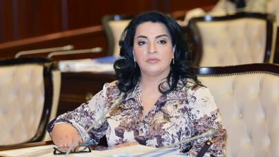 "Türkiyə və Azərbaycanın münasibətləri möhkəm təməllər əsasında qurulub" - Deputat