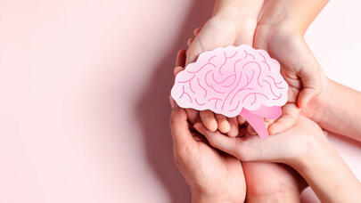 İnsan beyninin yeni modeli yaradıldı