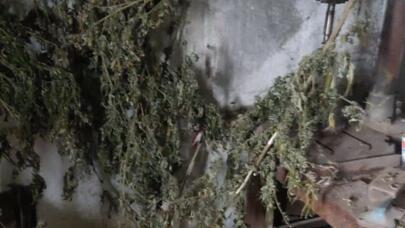 Xankəndidə narkotik və silah-sursat tapıldı