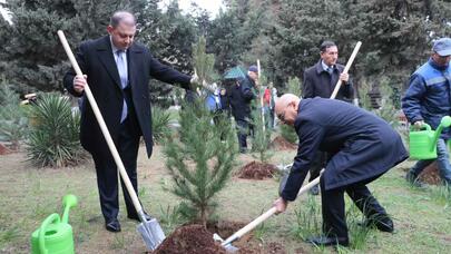 Yel çərşənbəsində Ahıllar evinin sakinləri ilə birgə ağac əkildi - FOTO