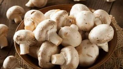 Dietoloq göbələyin möcüzəvi təsirlərini açıqladı