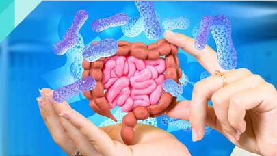 Bu tərəvəz həm arıqladır, həm də bağırsaqlarımız üçün faydalıdır